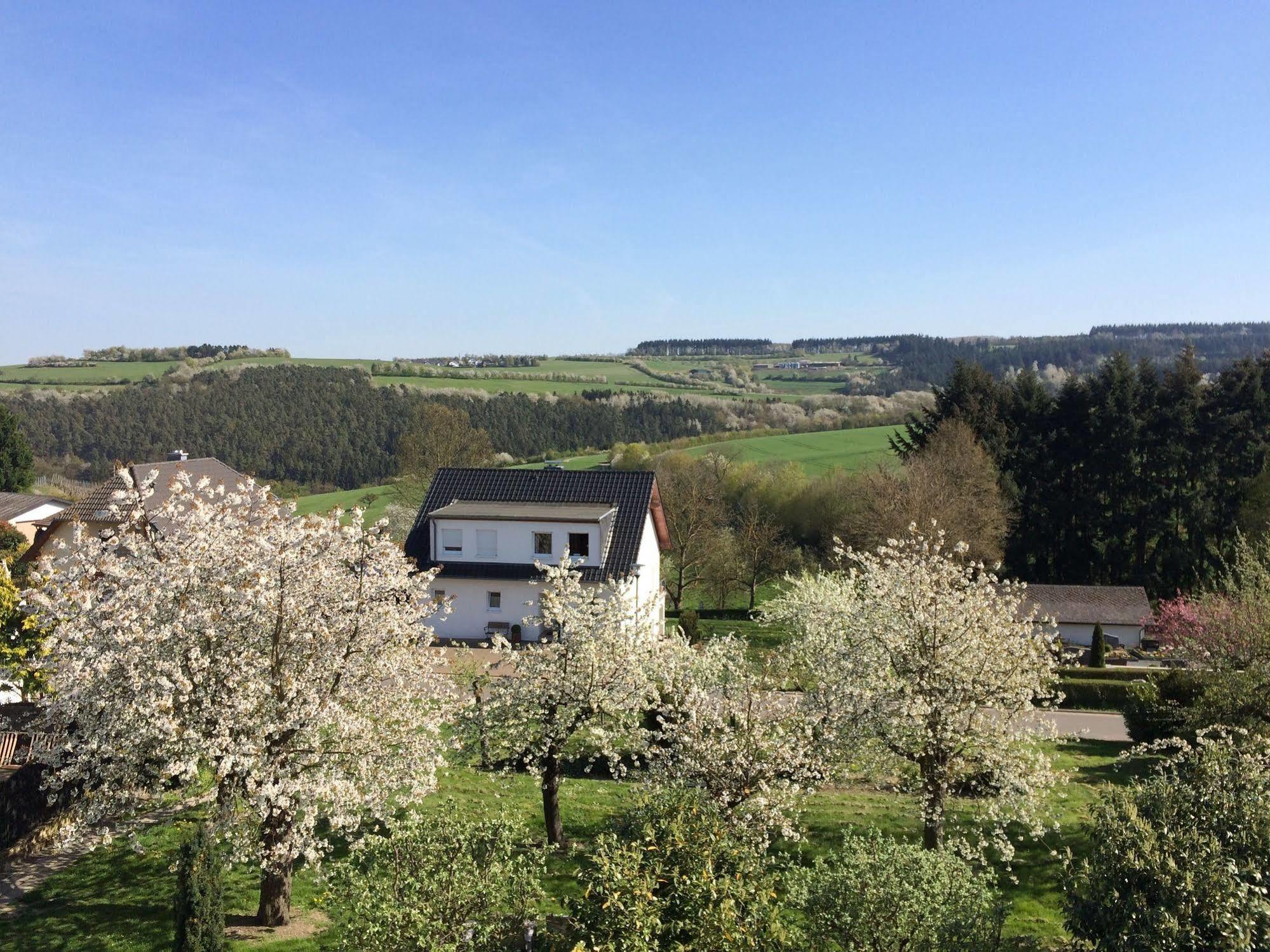 Gasthaus Weingut Stahl Oberwesel Bagian luar foto